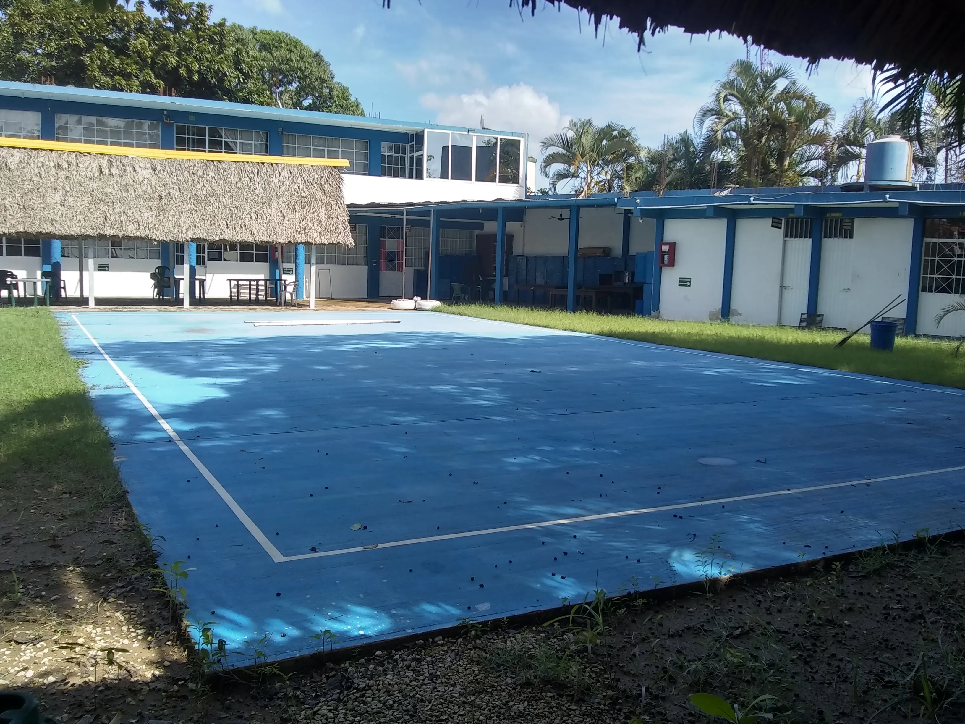 Alumnos de primaria en actividades escolares