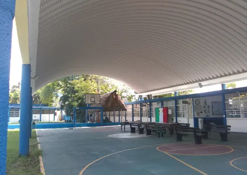 Alumnos de Primaria
